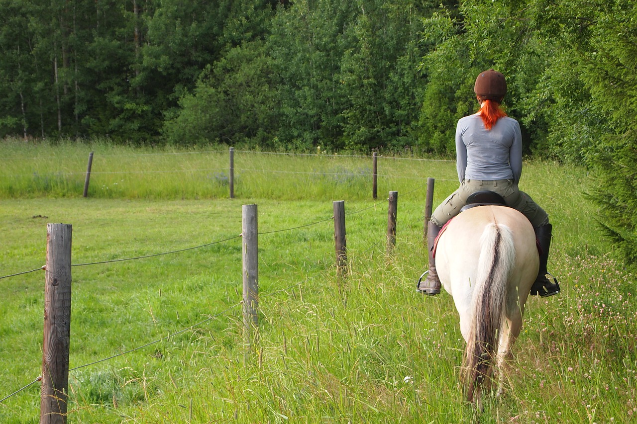 horseback-riding